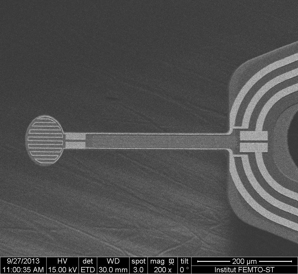 SEM Heat-flux